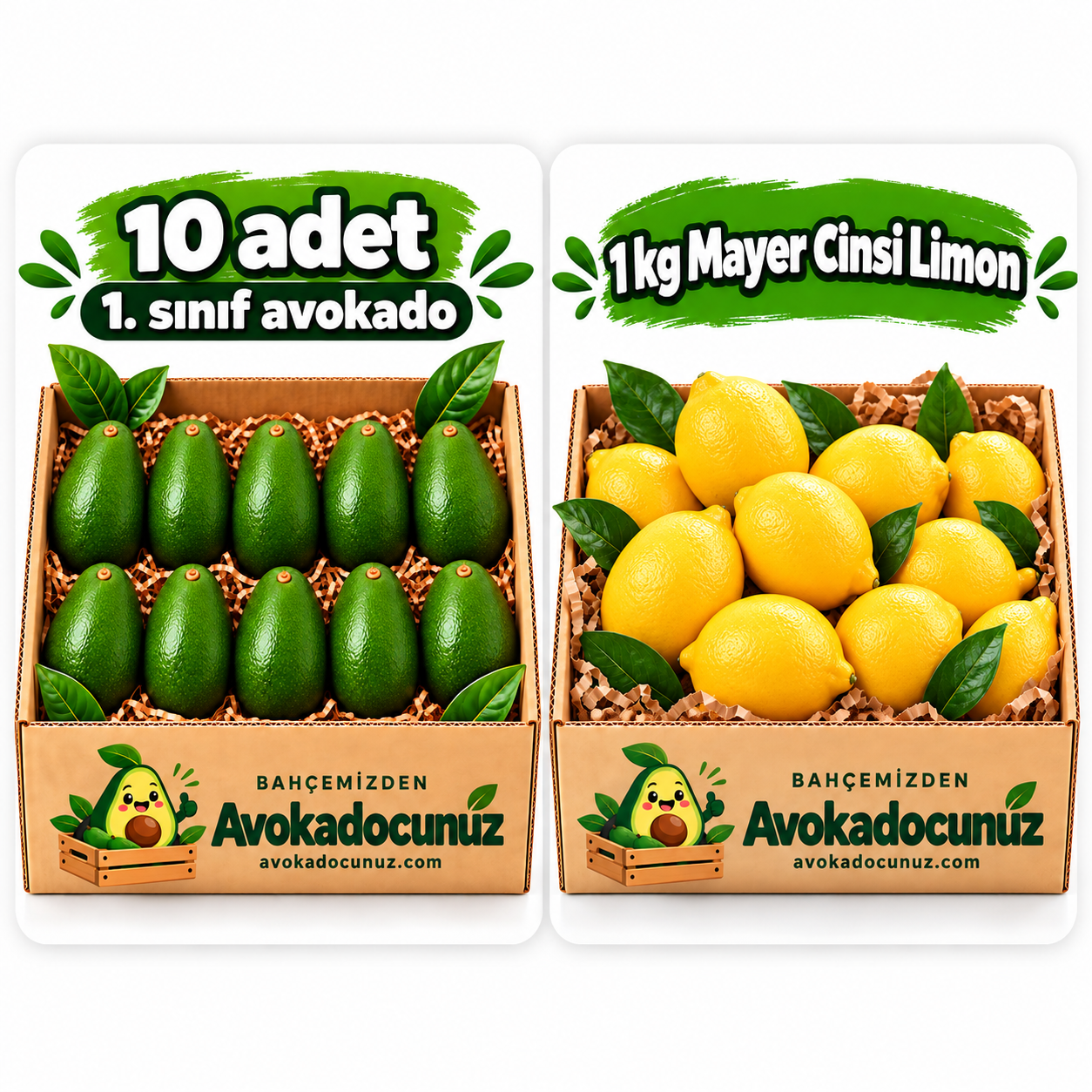Avantajlı Paket 2